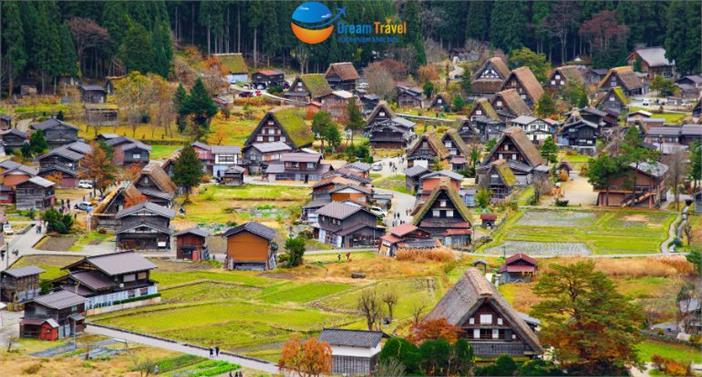 Tour Nhật Bản Mùa Thu Cung Đường Nagoya-Shirakawago-Phú Sĩ-Tokyo